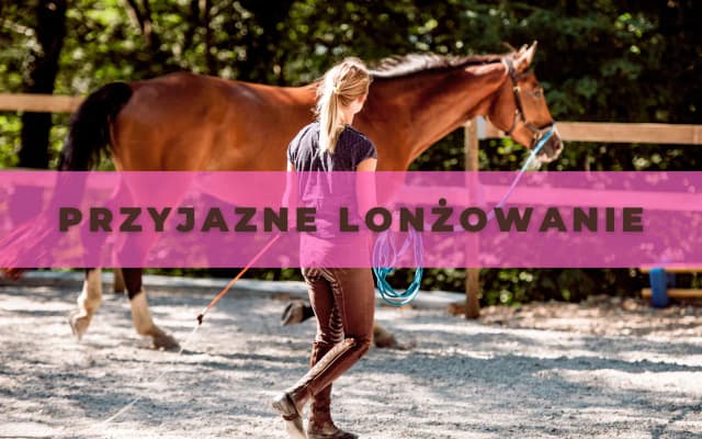 Jeździectwo Lublin: wyjątkowe możliwości edukacyjne i sportowe Jeździectwo Lublin: wyjątkowe możliwości edukacyjne i sportowe
