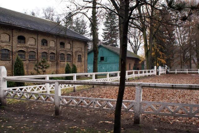 Stadnina koni Kętrzyn: historia, hodowla i atrakcje turystyczne Stadnina koni Kętrzyn: historia, hodowla i atrakcje turystyczne