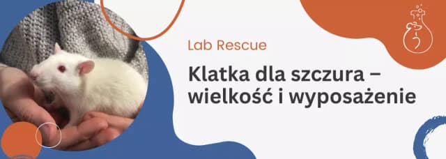 Jaką klatkę dla szczura wybrać, by zapewnić mu komfort i bezpieczeństwo? Jaką klatkę dla szczura wybrać, by zapewnić mu komfort i bezpieczeństwo?