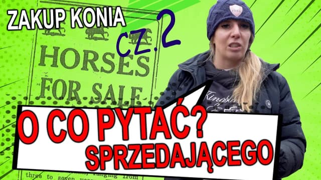 Jak kupić konia: uniknij najczęstszych błędów i wybierz mądrze Jak kupić konia: uniknij najczęstszych błędów i wybierz mądrze