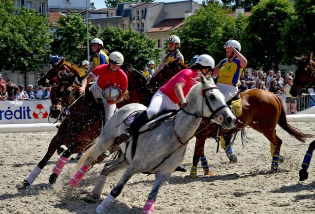 Sport konny jeździectwo: odkryj fascynujące dyscypliny i historię Sport konny jeździectwo: odkryj fascynujące dyscypliny i historię