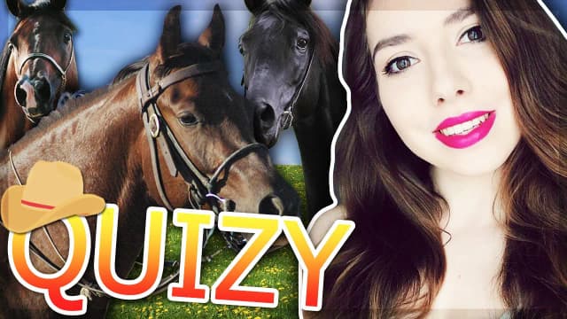 Trudne quizy o koniach na sameQuizy - co wolisz naprawdę? Trudne quizy o koniach na sameQuizy - co wolisz naprawdę?