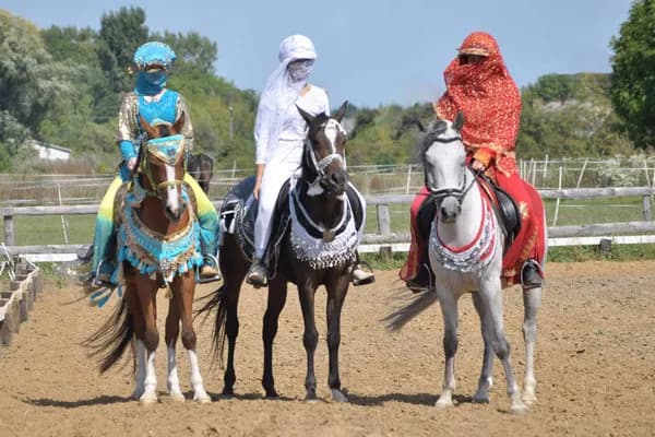 Najlepsze stadniny koni arabskich w Polsce: historia i unikalne cechy Najlepsze stadniny koni arabskich w Polsce: historia i unikalne cechy