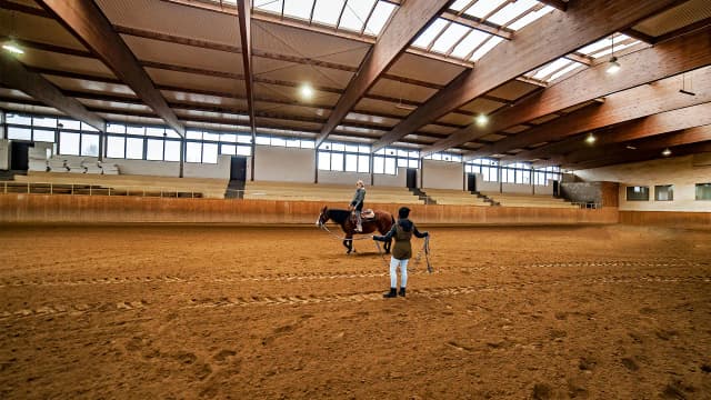 Jeździectwo Łódź: najlepsze kluby i ośrodki jazdy konnej w regionie Jeździectwo Łódź: najlepsze kluby i ośrodki jazdy konnej w regionie