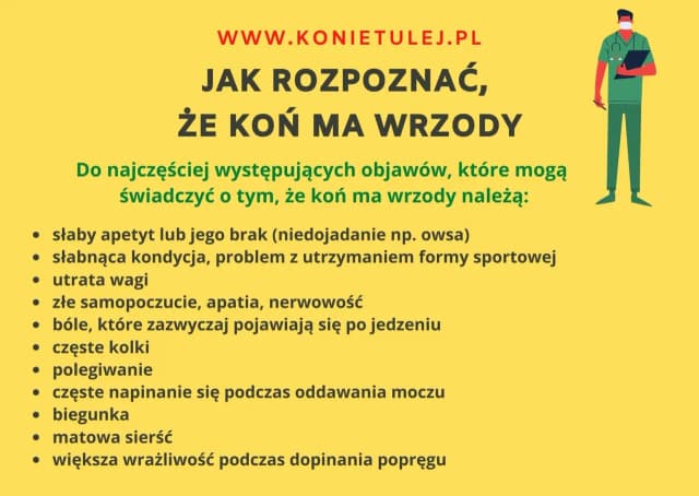 Wrzody u konia objawy – jak je rozpoznać i uniknąć poważnych problemów Wrzody u konia objawy – jak je rozpoznać i uniknąć poważnych problemów