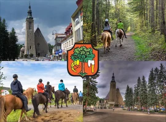 Stadnina koni Limanowa - najlepsze stajnie, ceny i usługi jeździeckie Stadnina koni Limanowa - najlepsze stajnie, ceny i usługi jeździeckie