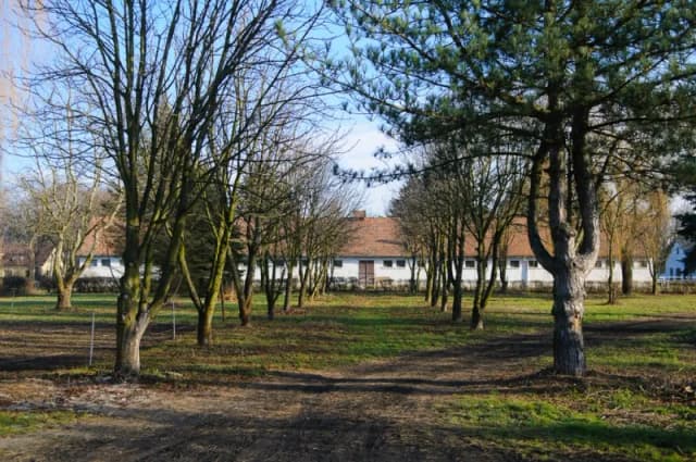 Stadnina koni Stubno - historia, usługi jeździeckie i agroturystyka Stadnina koni Stubno - historia, usługi jeździeckie i agroturystyka