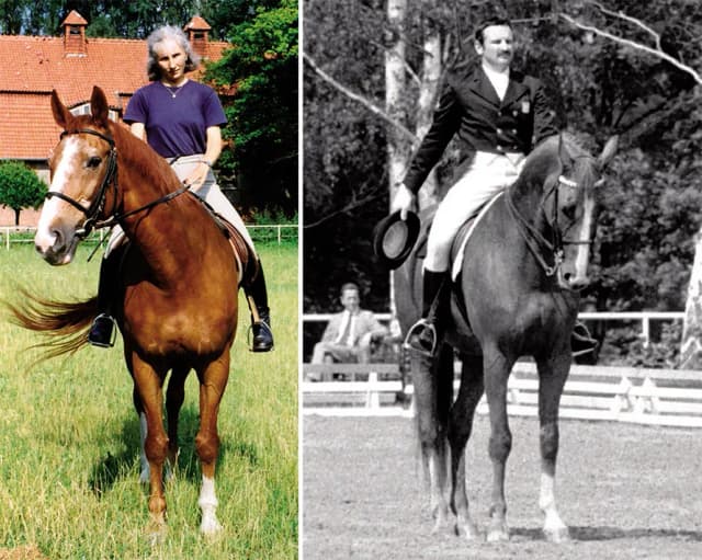 Legendy polskiego jeździectwa: historie, które zmieniły sport na zawsze Legendy polskiego jeździectwa: historie, które zmieniły sport na zawsze