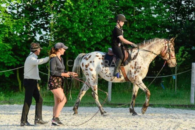 Szkoła świadomego jeździectwa Silvana - wyjątkowe kursy jeździeckie w Cewicach Szkoła świadomego jeździectwa Silvana - wyjątkowe kursy jeździeckie w Cewicach