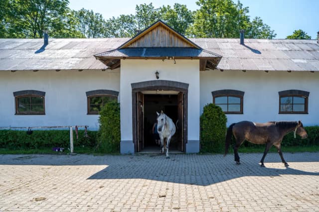 Stadnina koni Łopuszna - wyjątkowe lekcje jazdy i atrakcje dla każdego Stadnina koni Łopuszna - wyjątkowe lekcje jazdy i atrakcje dla każdego