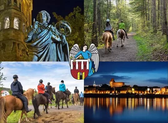 Cennik stadniny koni Kaszczorek – poznaj ceny usług i atrakcji Cennik stadniny koni Kaszczorek – poznaj ceny usług i atrakcji