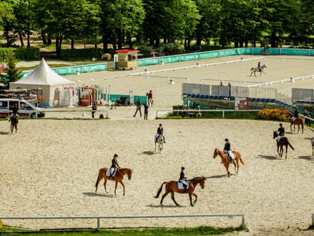 Stadnina koni Bogusławice – odkryj historię i atrakcje jeździeckie Stadnina koni Bogusławice – odkryj historię i atrakcje jeździeckie