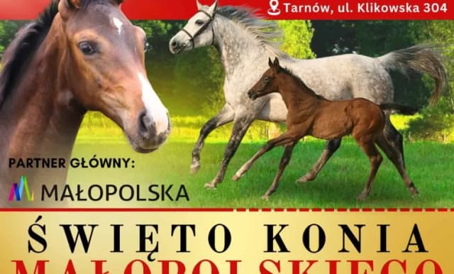 Imprezy w Klikowej stadninie: poznaj nadchodzące wydarzenia i atrakcje Imprezy w Klikowej stadninie: poznaj nadchodzące wydarzenia i atrakcje