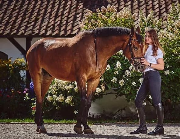 Stadnina koni Studniewski - wyjątkowe jazdy i niezapomniane wydarzenia Stadnina koni Studniewski - wyjątkowe jazdy i niezapomniane wydarzenia