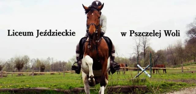 Pszczela Wola liceum jeździeckie - co musisz wiedzieć przed wyborem? Pszczela Wola liceum jeździeckie - co musisz wiedzieć przed wyborem?