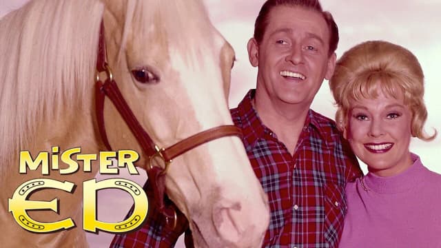 Koń który mówi: Sekrety i historia kultowego serialu Mister Ed Koń który mówi: Sekrety i historia kultowego serialu Mister Ed