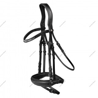 OgÂłowie anatomiczne X-line Concept Waldhausen