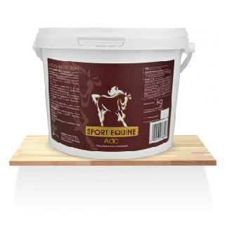 Sport Equine Add - Over Horse